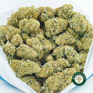 Bag of Donkey Butter strain popcorn cannabis for sale from west coast cannabis. weed online canada. order cannabis online. buy weed online.