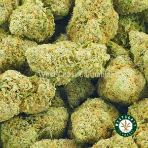 Order Strawberry Lemonade strain weed online in Canada from West Coast Cannabis online dispensary and mail order marijuana.