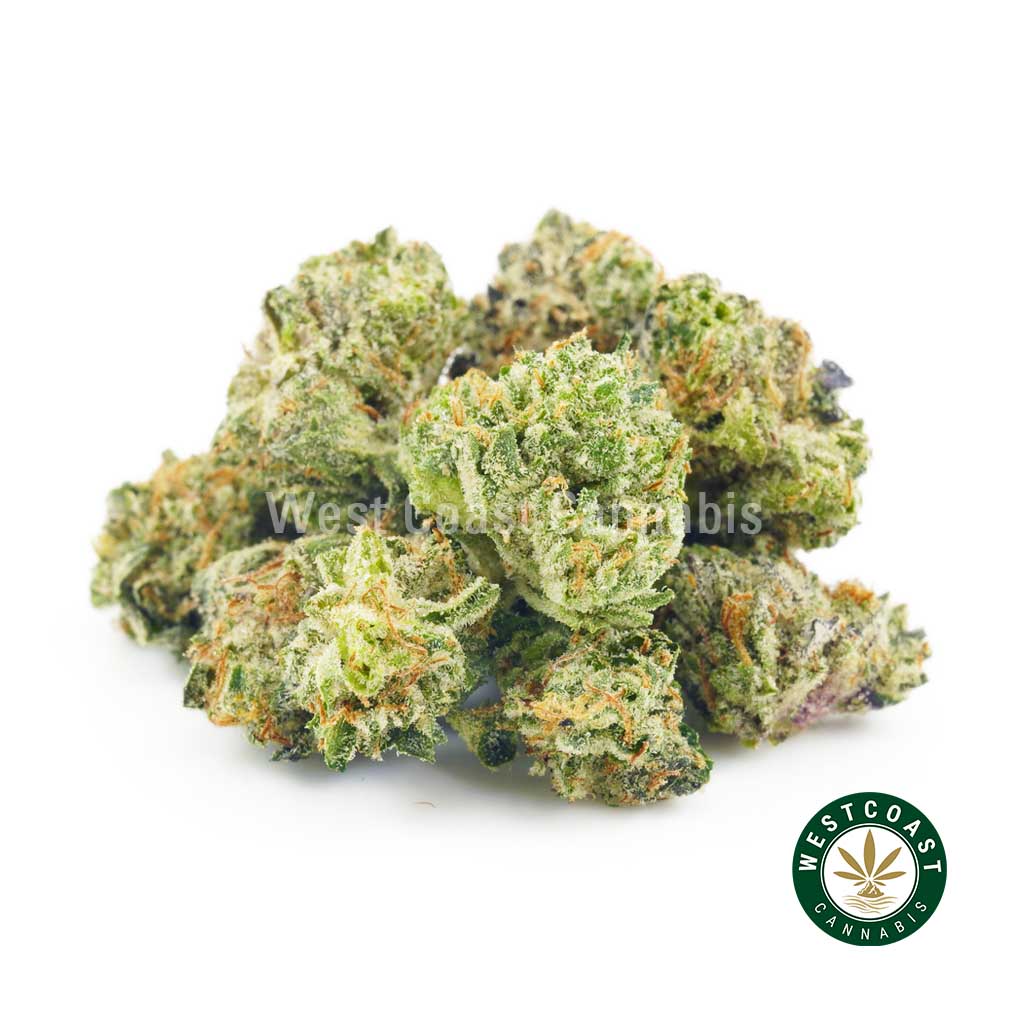Photo of Oreoz strain buds weed online. buy online weeds. best online dispensary canada. mail order marijuana.