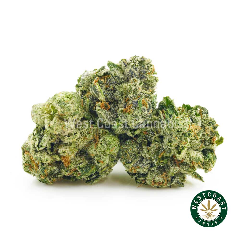 Image of Pink Picasso weed buds from online dispensary west coast cannabis. buy weeds online. mail order weed canada. weed online.