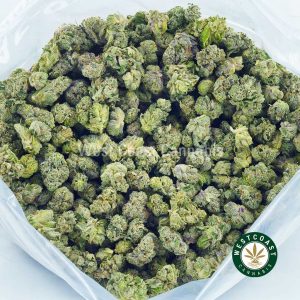 Pink Picasso strain cannabis popcorn weed online. buying weed online. order weed canada. weed shop online.