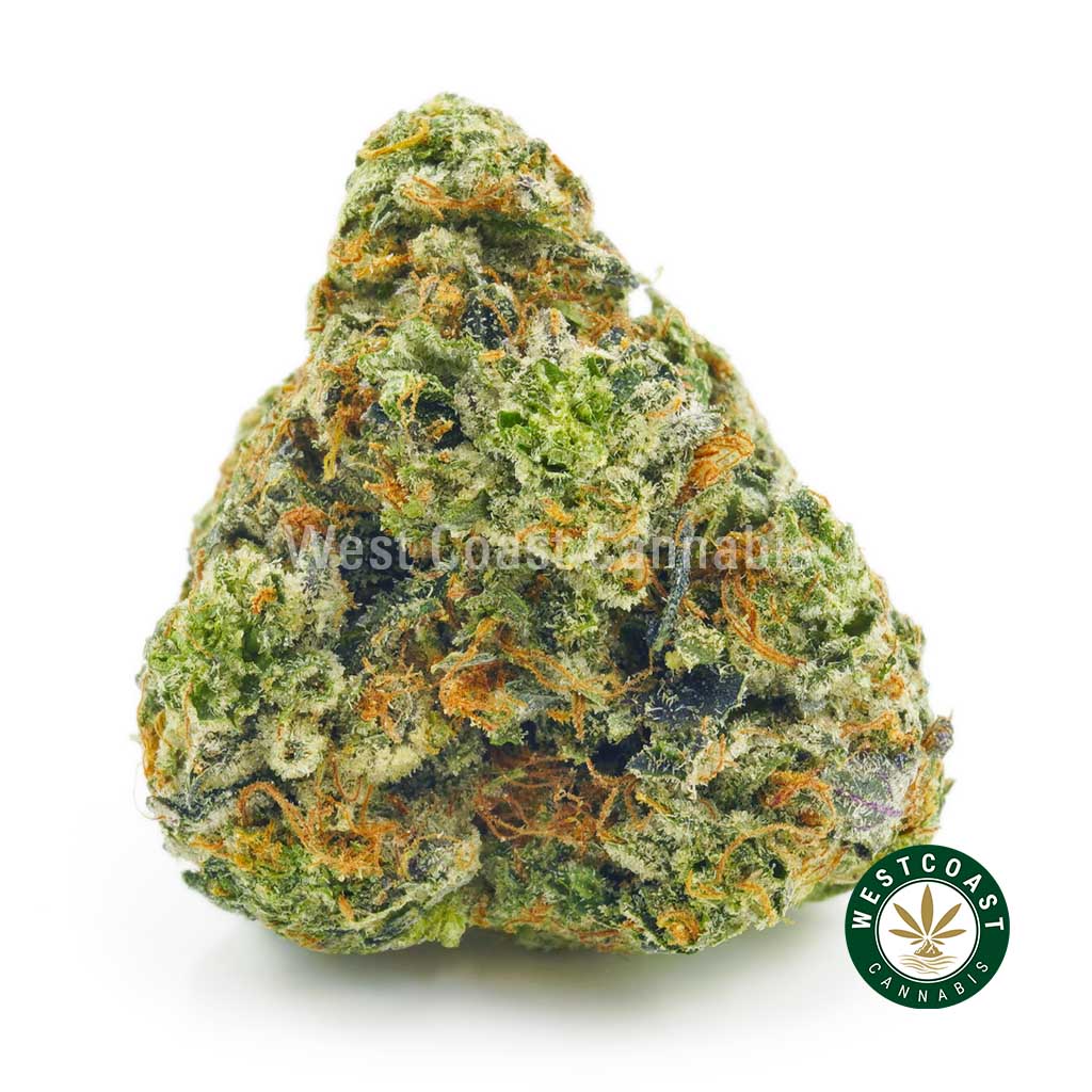 image of Pink Ice Cream Cake bud for sale from online dispensary west coast cannabis. Buy weed online in canada.