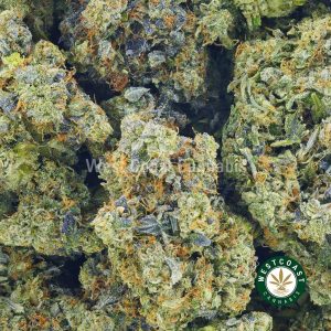 photo of Pink Ice Cream Cake cannabis popcorn weed buds for sale. Buy weed online.