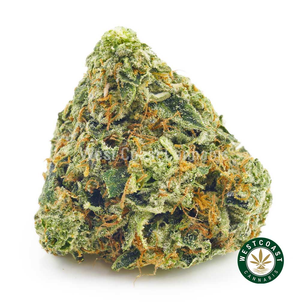 Pink Tuna strain bud for sale online dispensary canada. buying weed online. order weed canada. weed shop online.