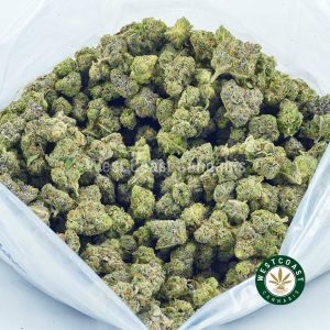 Full bag of Purple Pugs Breath weed from online dispensary canada. buy online weeds. best online dispensary canada. mail order marijuana.