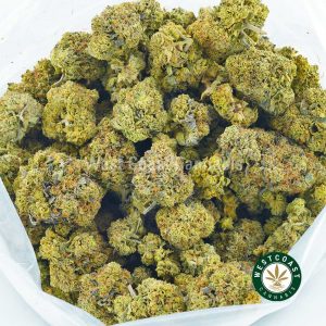Buy Cannabis Meglodon Outdoor at Wccannabis Online Shop