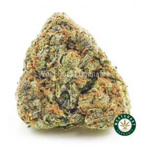 Buy Cannabis King Louis at Wccannabis Online Shop