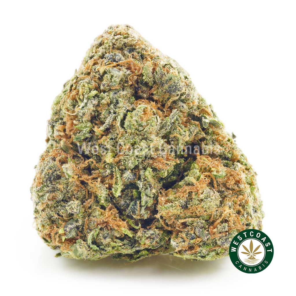 Photo of King Louis strain marijuana bud for sale. online cannabis shop mail order marijuana. buy weed.