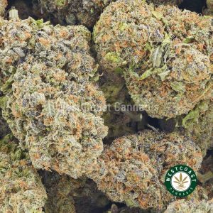 Buy weed online. King Louis strain from west coast cannabis online dispensary and mail order marijuana in Canada.