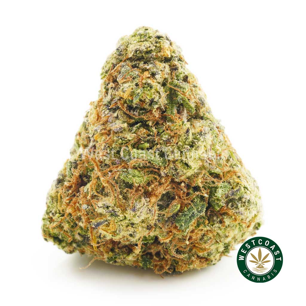 photo of Strawberry Mimosa strain weed from our online dispensary in Canada. Order weed online from the top weed site in cannabis canada.