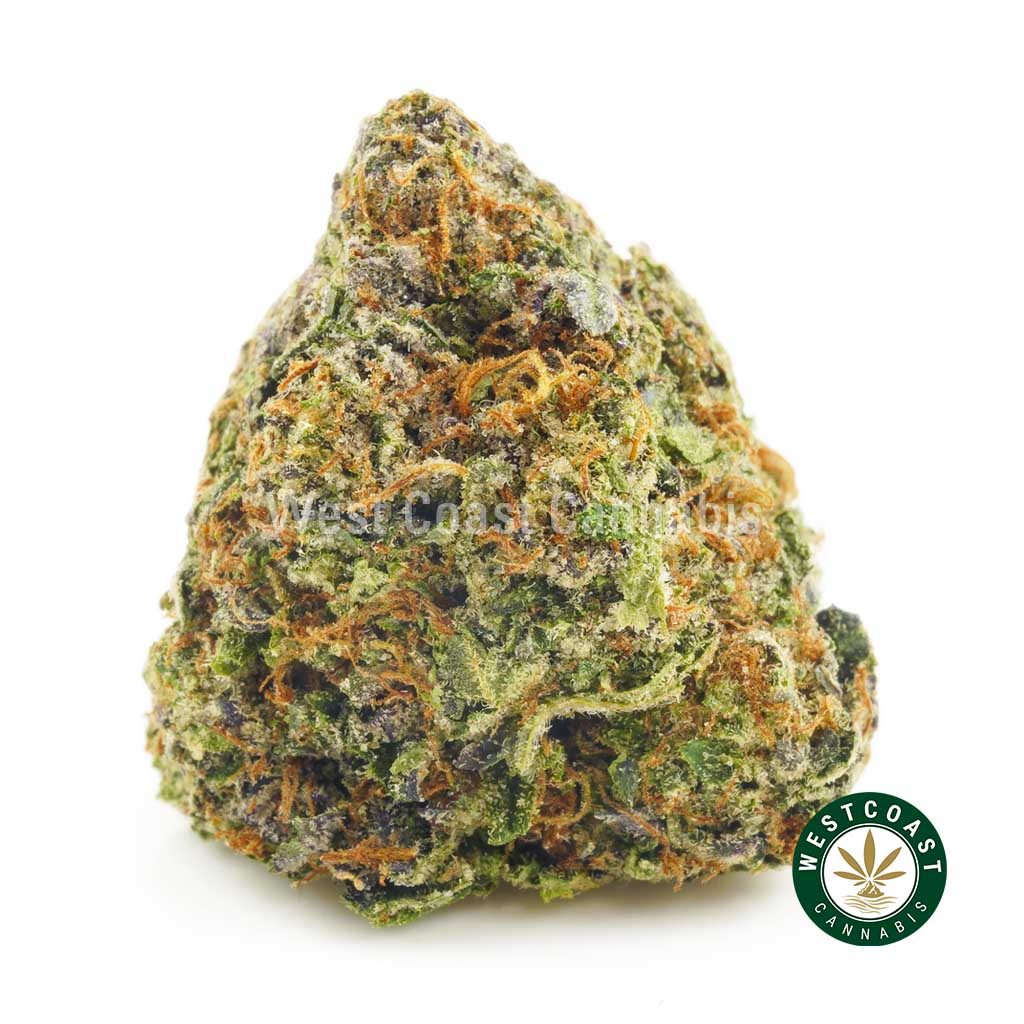 image of purple haze bud. Buy weed from Canada's best online dispensary west coast cannabis.