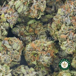 Four Star General strain cannabis popcorn for sale. Buy weed online dispensary canada.