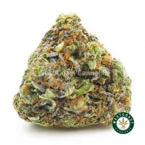 Buy Astro Pink cannabis popcorn online in canada. Find the best weed online from the best online dispensary to buy weed.