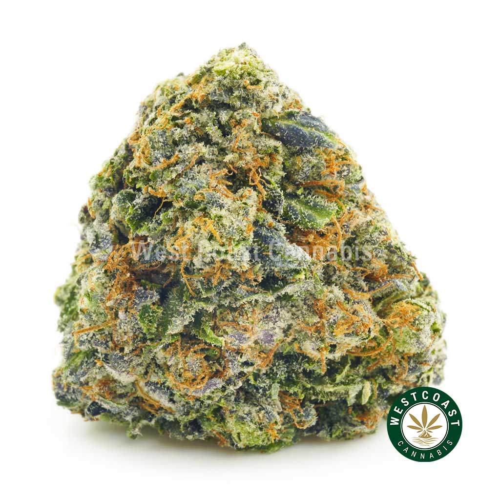Image of Atomic Pink strain bud for sale from west coast cannabis online dispensary to buy weed.
