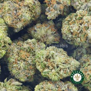 Atomic Pink cannabis popcorn for sale. buy online weeds here. buy weed online canada. order weed online from mail order marijuana company.