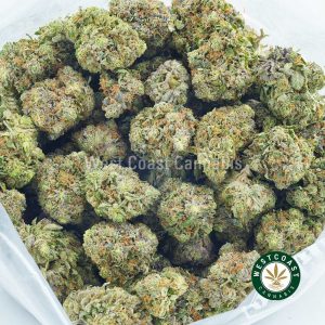 Buy weed. Atomic Pink strain cannabis popcorn from online dispensary mail order marijuana west coast cannabis.