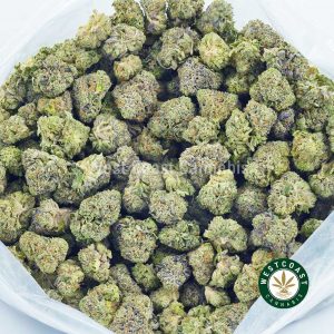 Photo of Pink Ice Wreck cannabis popcorn weed for sale from West Coast Cannabis online dispensary in Canada to buy weed.