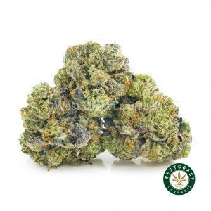 Buy Obama Kush cannabis popcorn online. Cannabis canada online dispensary to buy weed.