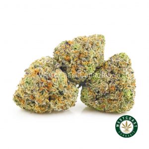 Image of Mona Lisa cannabis popcorn buds. Buy weed cannabis canada online dispensary.