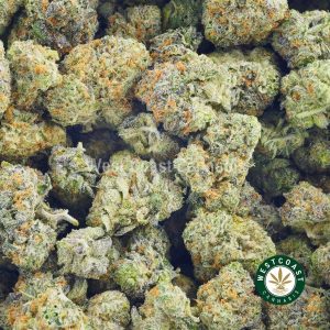 Buy mona lisa cannabis popcorn from Canada's best online dispensary to buy weed.