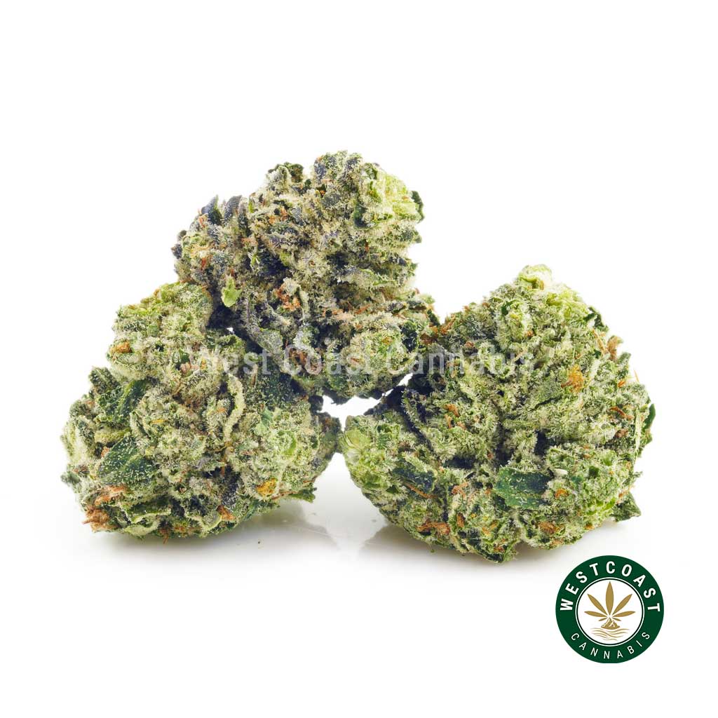 Buy Incredible Hulk strain cannabis popcorn from the best online dispensary in canada to buy weed.