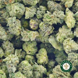Incredible Hulk strain cannabis popcorn for sale at online dispensary west coast cannabis. Find the best weed online from the best online dispensary to buy weed.