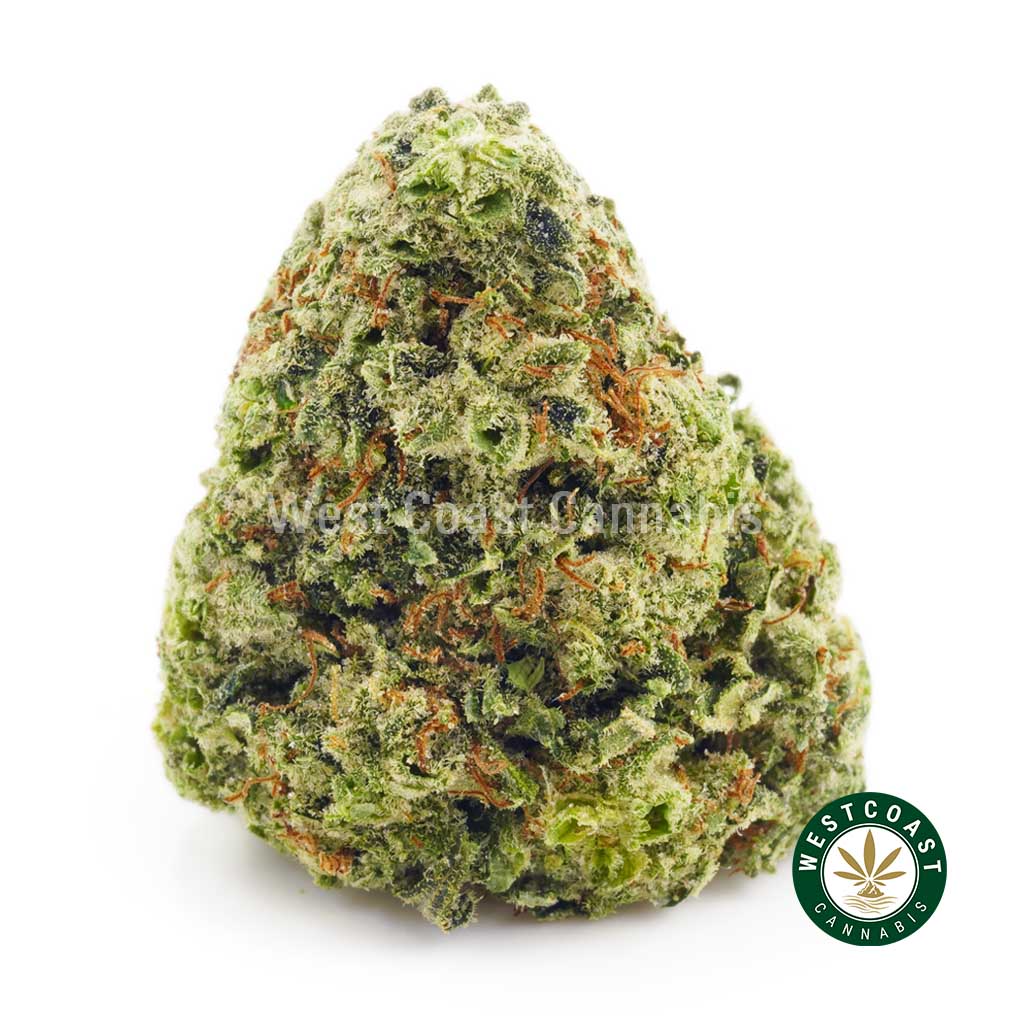 Buy Cannabis Candy Land at Wccannabis Online Shop
