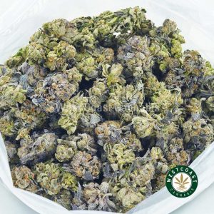 Buy Cannabis Bubble Gum Kush at Wccannabis Online Shop