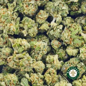 Close up photo of Blueberry Octane weed strain from mail order marijuana dispensary west coast cannabis. order weed online. mail order weed. online weed dispensary. buy weed online.