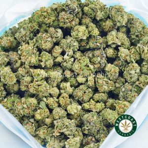 Bag of Blueberry Octane strain weed nugs and cannabis popcorn. buy online weeds. best online dispensary canada. mail order marijuana.