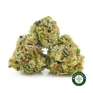 OG Kush product photo from online dispensary west coast cannabis. buy marijuana online at the best online dispensary in Canada. Order weed online.