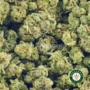 OG Kush weed nugs from west coast cannabis online dispensary in BC, Canada. buy online weeds and westcoastweeds canada. buy weed online.