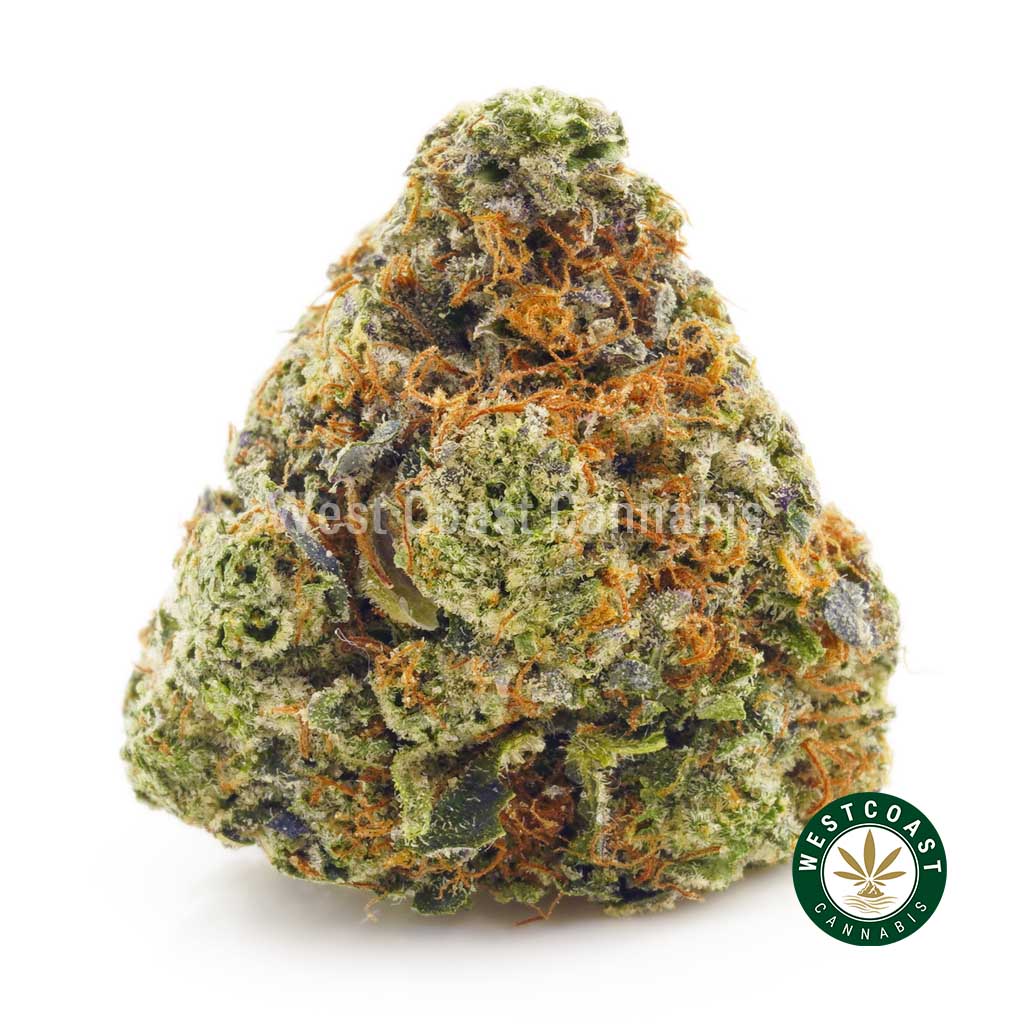 Photo of Black Cherry Soda strain weed nug for sale. Buy online weeds from top online dispensary for cannabis canada.