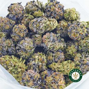 Buy Cannabis Master Kush Ultra at Wccannabis Online Shop
