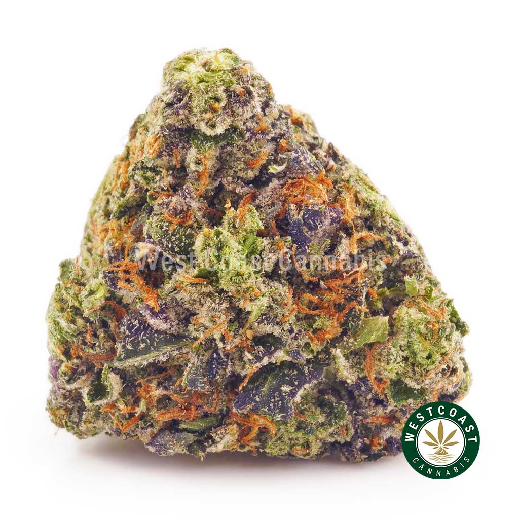 Buy Pink Punch weed buds at West Coast Cannabis online dispensary weed shop online.