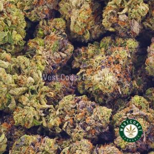 Order weed online Pink Punch strain from West Coast Cannabis Canada. buying weed online, buy online weeds.