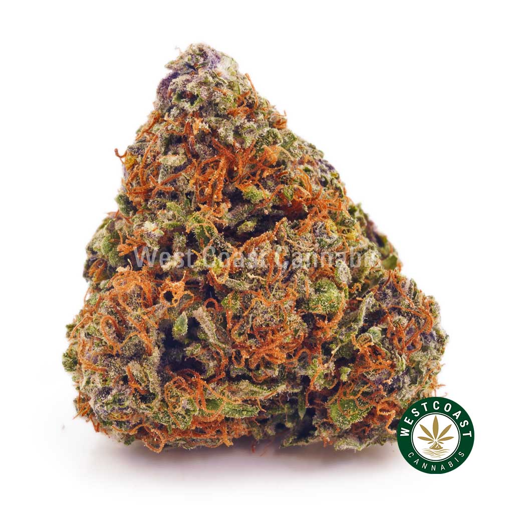 Product photo of Tropicana Punch strain weed nug from mail order marijuana online dispensary west coast cannabis canada. weed shop online.