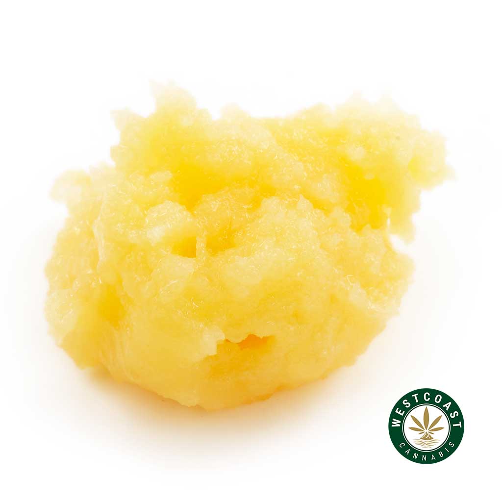 Girl Scout Cookie live resin THC concentrate. wax concentrate. marijuana dabs. dab oil. Buy weeds online.
