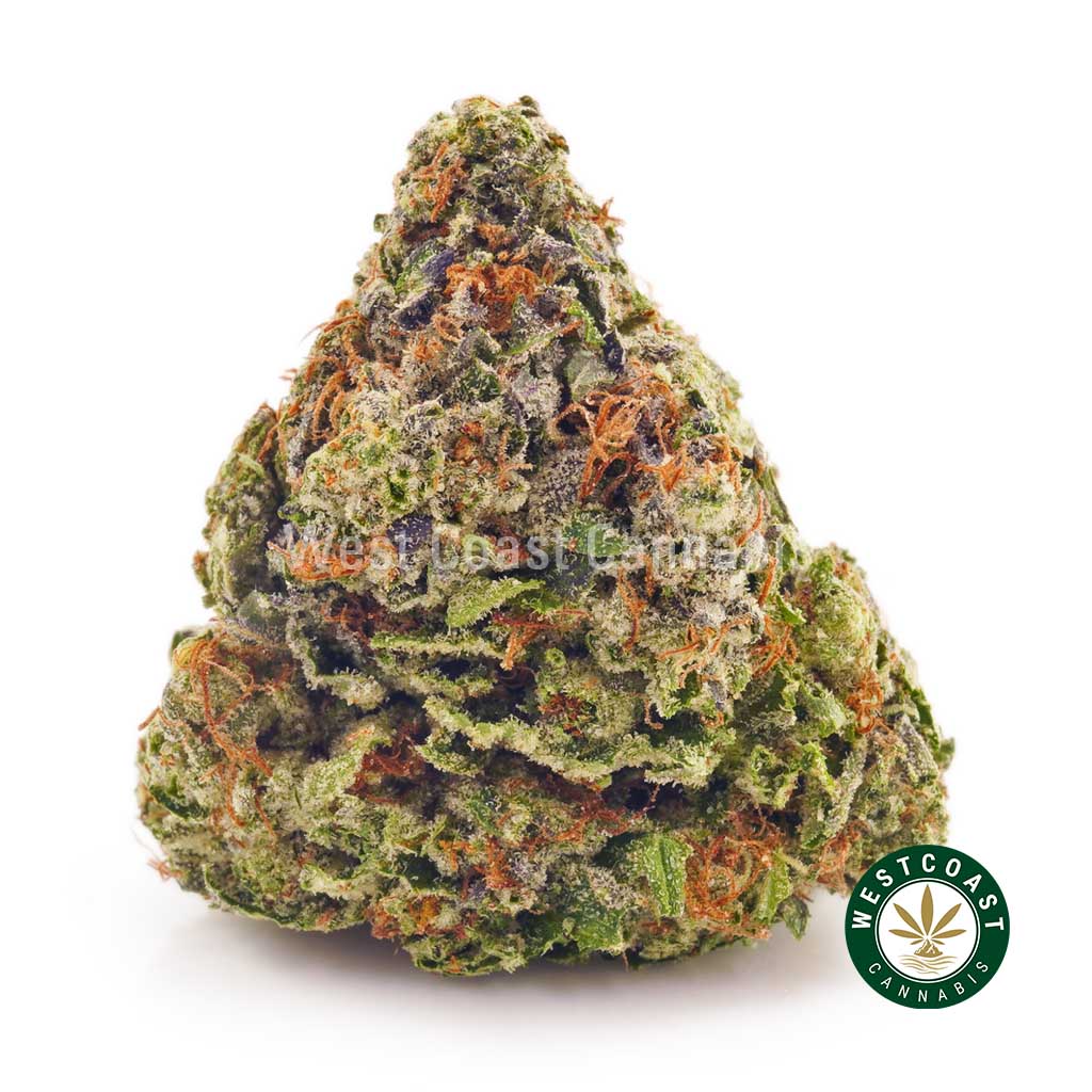 Photo of el jefe strain BC bud buy weed online. buy online weeds from BC. Purchase weed online.