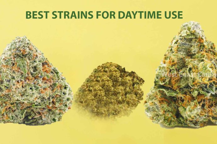 Image of weed to buy online that are the Best Marijuana Strains for Daytime use.
