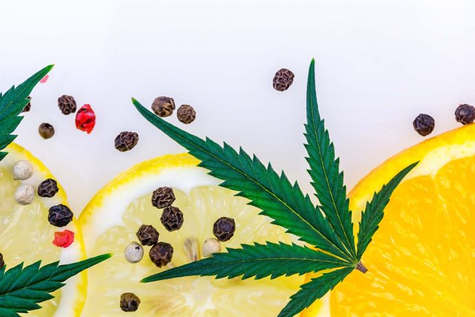 Image of fruit and cannabis leaf. What Are Terpenes in weed and what do they do? Buy weed online.