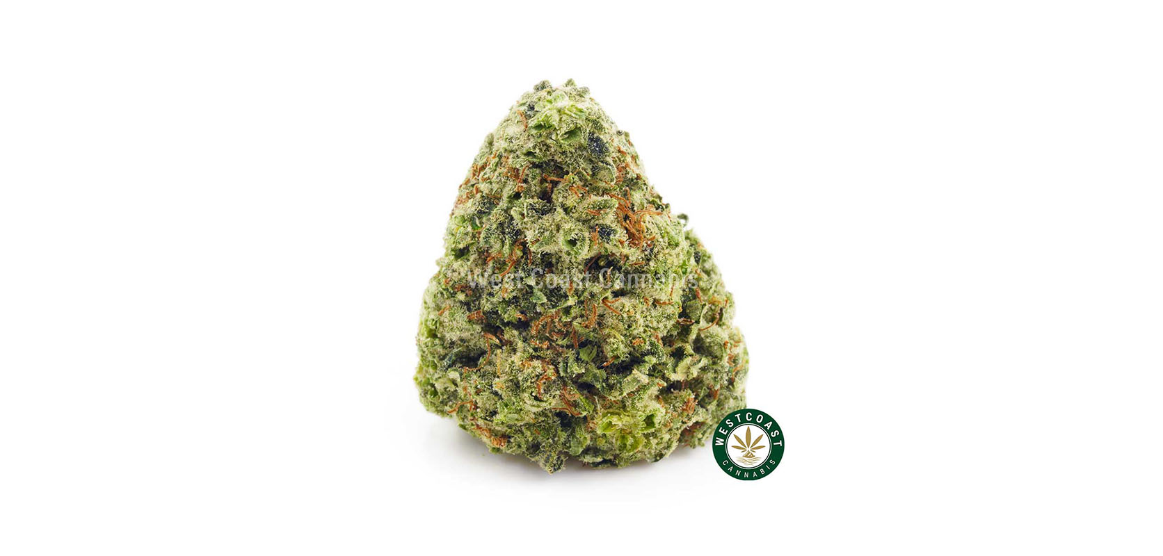 Candly land bud nug. Buy online weeds from top online dispensary for cannabis canada.