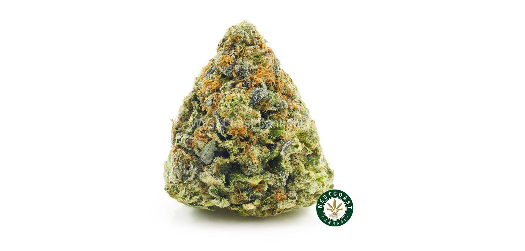 buy weed online in canada AAAA Do Si Dos strain buds from the top online dispensary for mail order weed in Canada. Buy weed online.