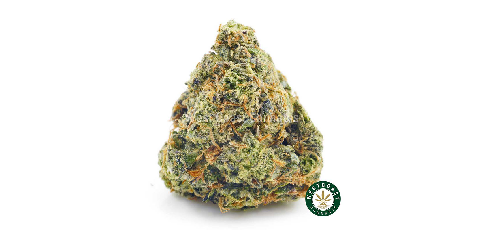 Order weed online Grand Daddy Purple AAAA from online dispensary mail order marijuana Canada.