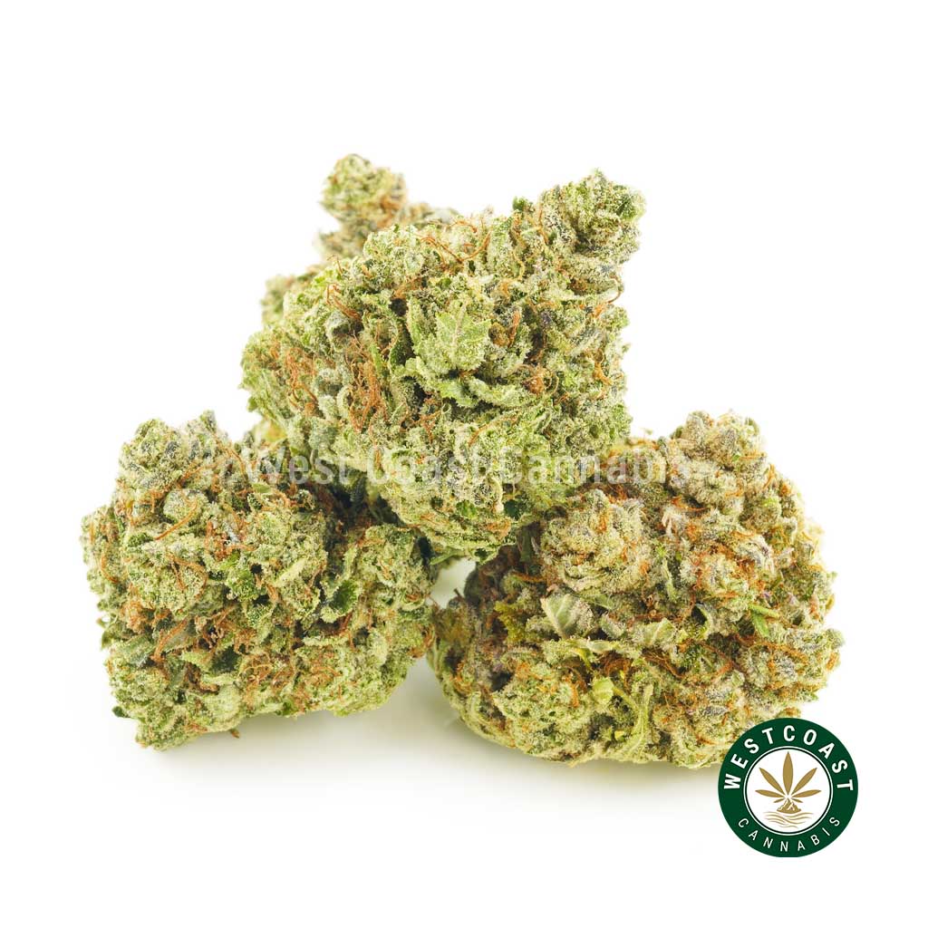 Order weed online Honey Badger strain nugs cannabis popcorn. online dispensary canada. buy weed online.