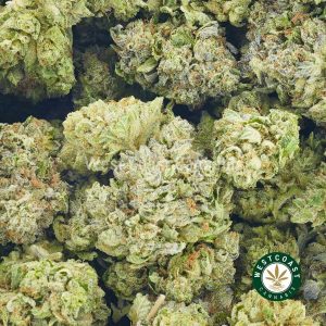 Buy Honey Badger strain weed from west coast cannabis online dispensary and mail order marijuana weed shop online.