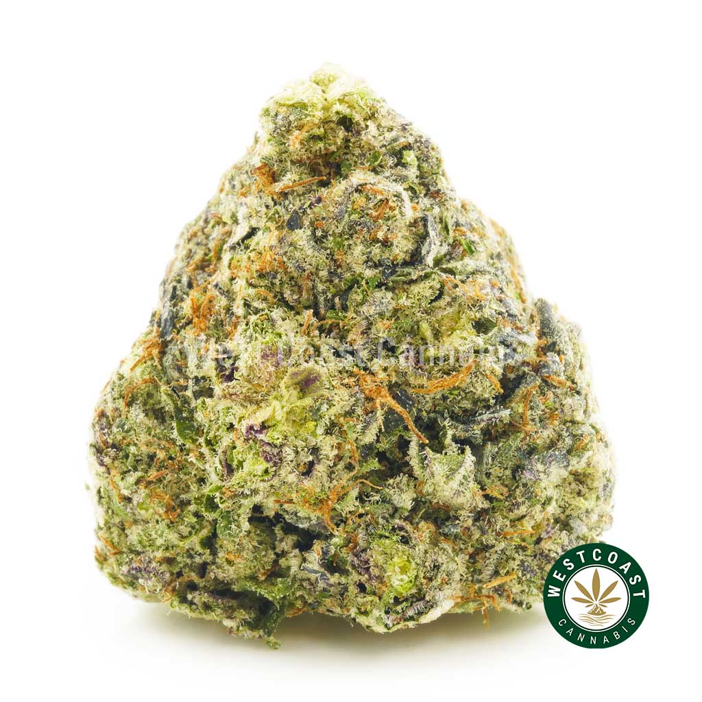 weed online Alien Cake from west coast cannabis. buy online weeds cannabis canada. buy weed vapes canada.