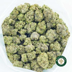 order weed online Alien Cake. buy weed from the top online dispensary in Canada west coast cannabis mail order marijuana.