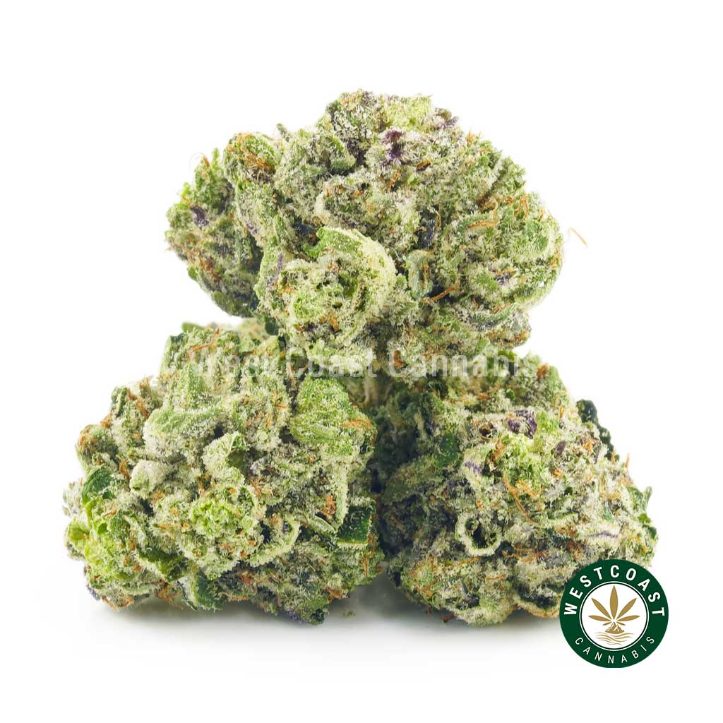 Order weed online black gas strain from online weed dispensary and best weed shop online.