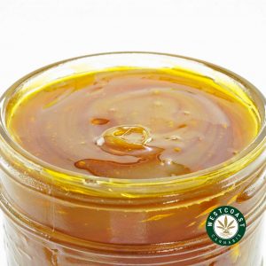 Buy Terp Sauce Couch Lock at Wccannabis Online Shop
